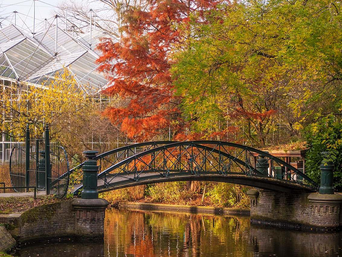 Bridge, autumn trees and greenhouse at Hortus Botanicus Amsterdam